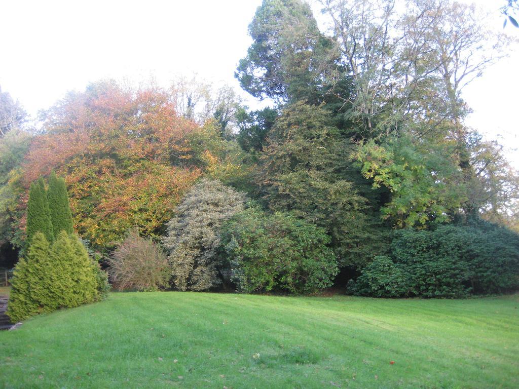 Hotel Glebe House Mohill Exterior foto